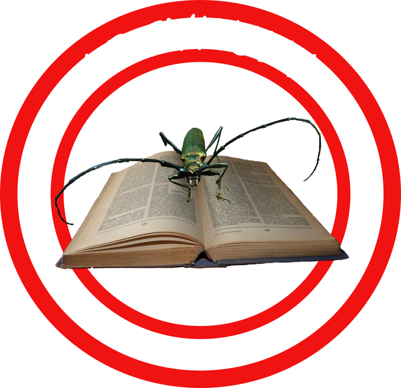 link do moich artykułów