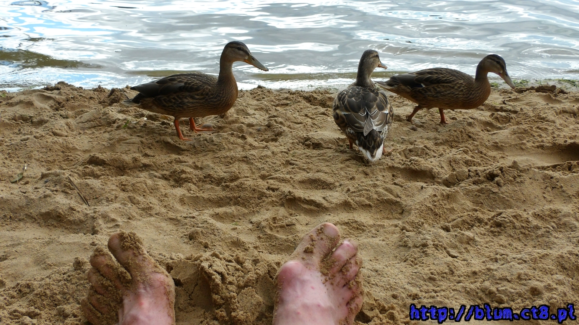 aktualnie wczytana fota