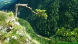 Sokolica - Pieniny