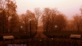 Smog w Parku Wiosny Ludów w Kutnie