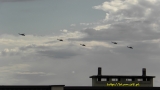 Helikoptery nad miastem